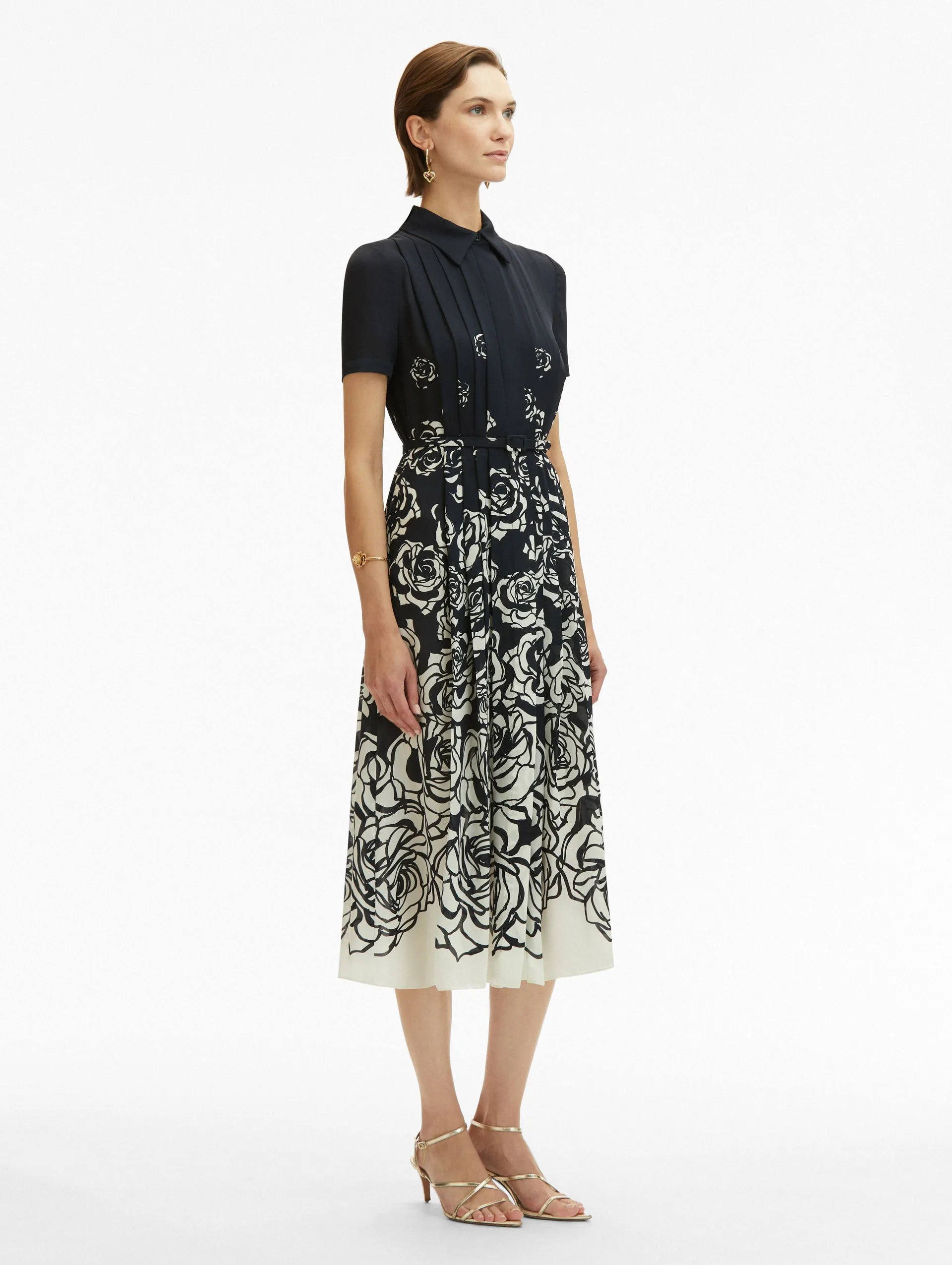Abstract Degrad Rose Dress