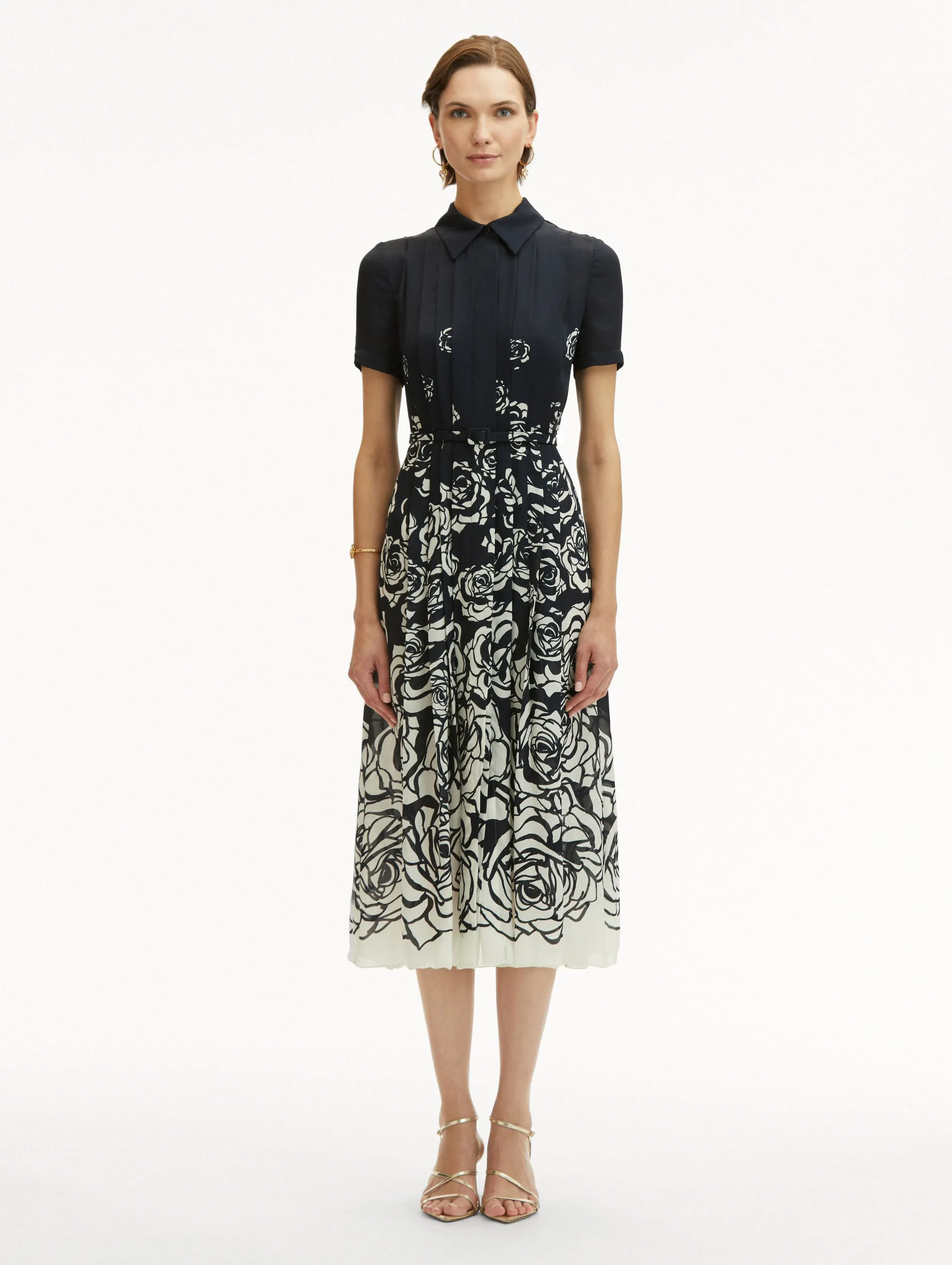 Abstract Degrad Rose Dress