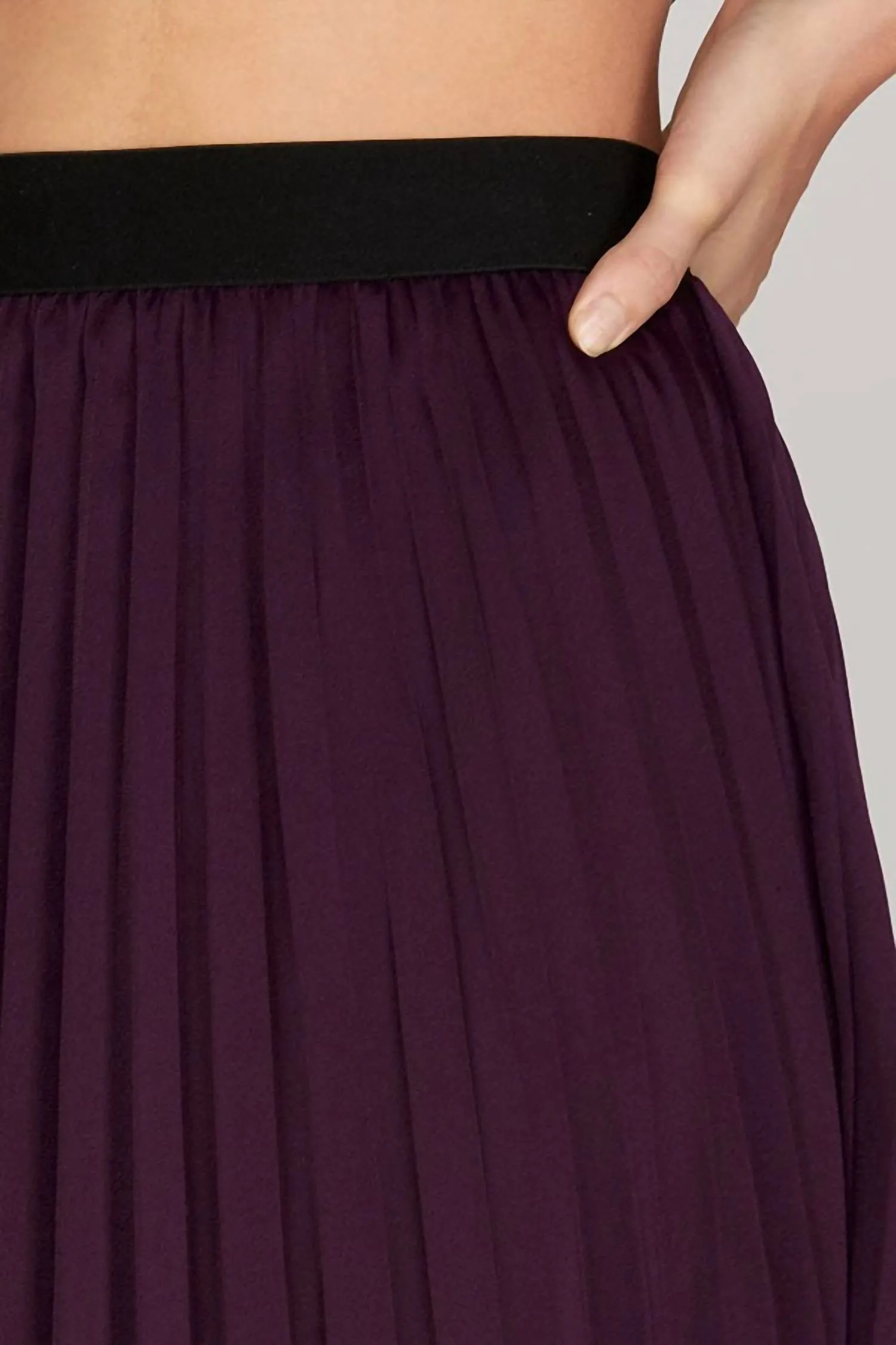 Adrinna Pleated Skirt In Plum