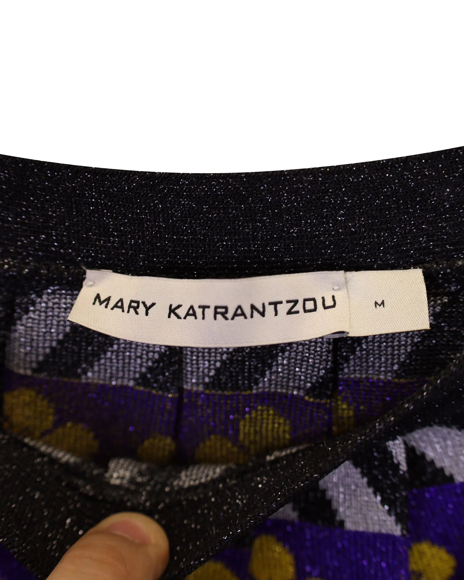 Mary Katrantzou Pleated Skirt in Multicolor Viscose