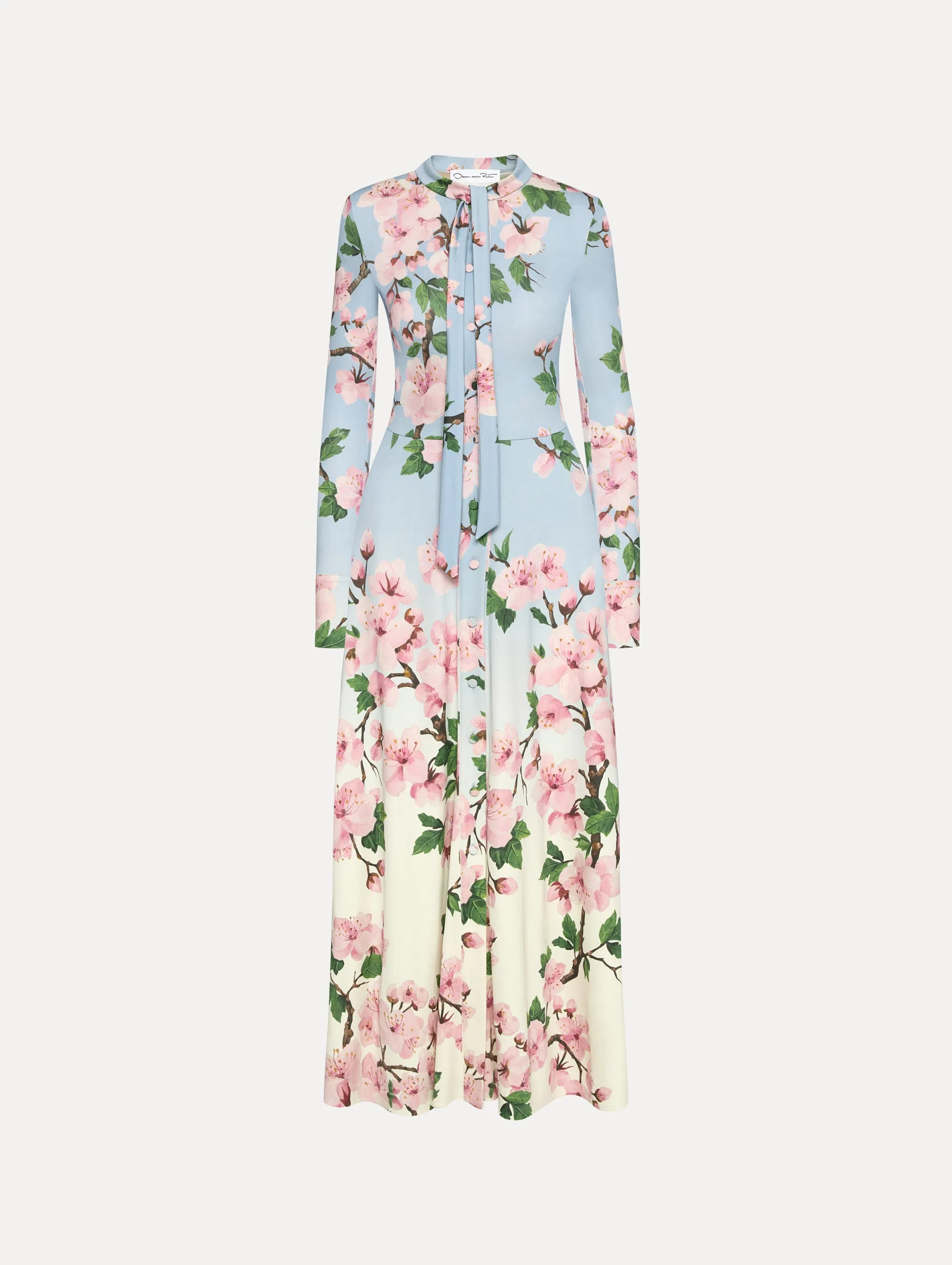 Ombr Cherry Blossom Jersey Dress