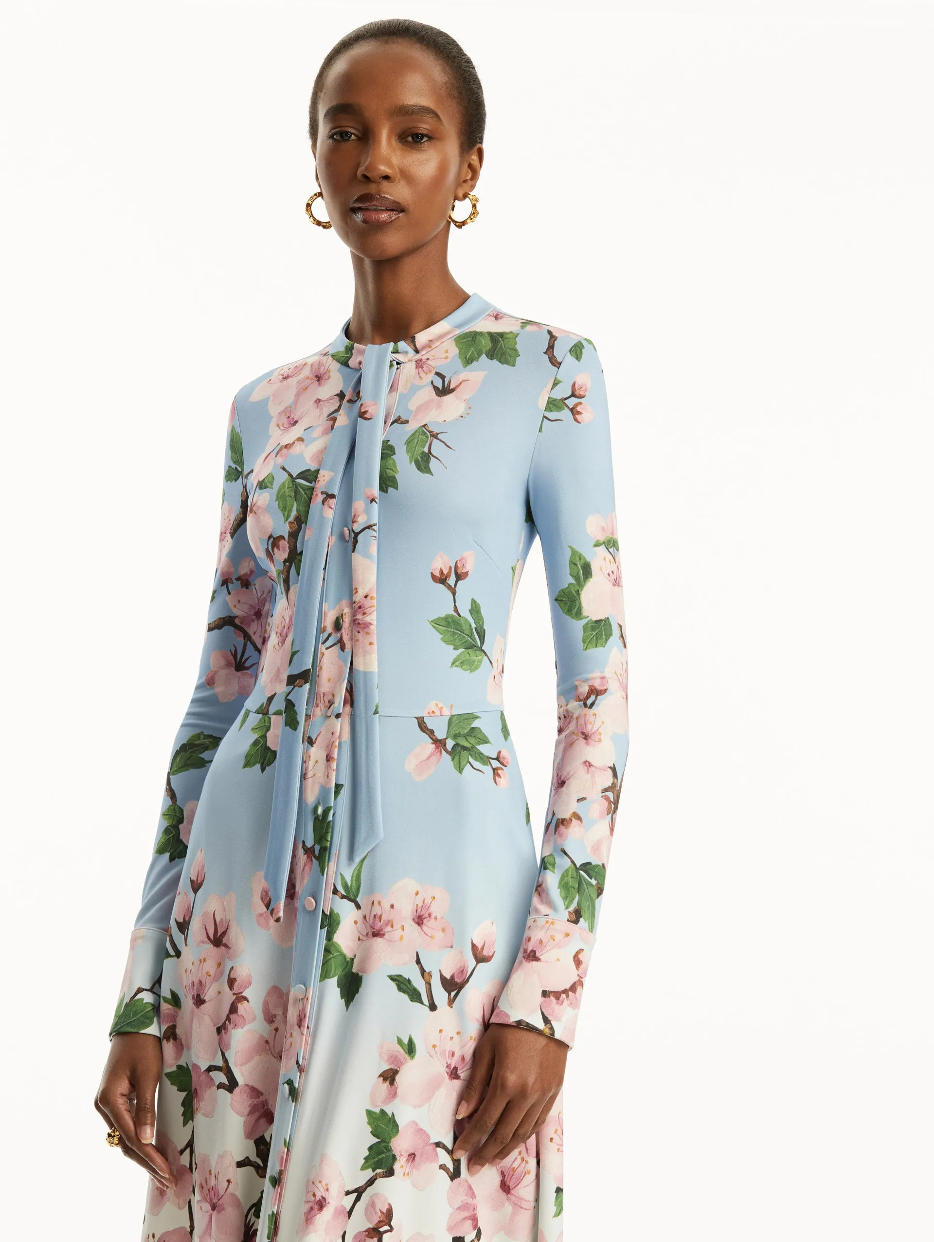 Ombr Cherry Blossom Jersey Dress