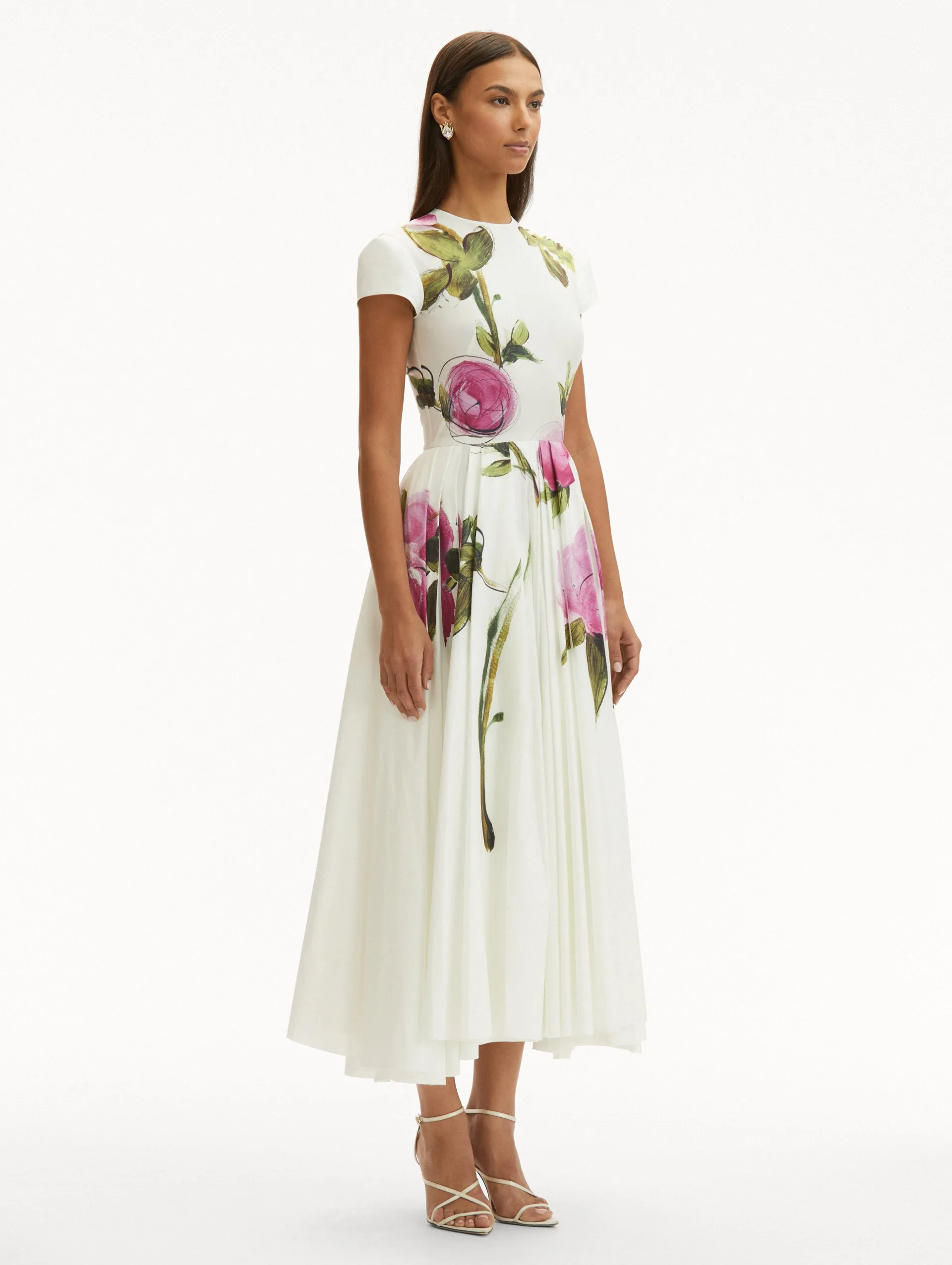 Painted Roses Cotton Poplin Dress
