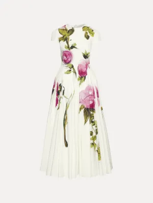 Painted Roses Cotton Poplin Dress