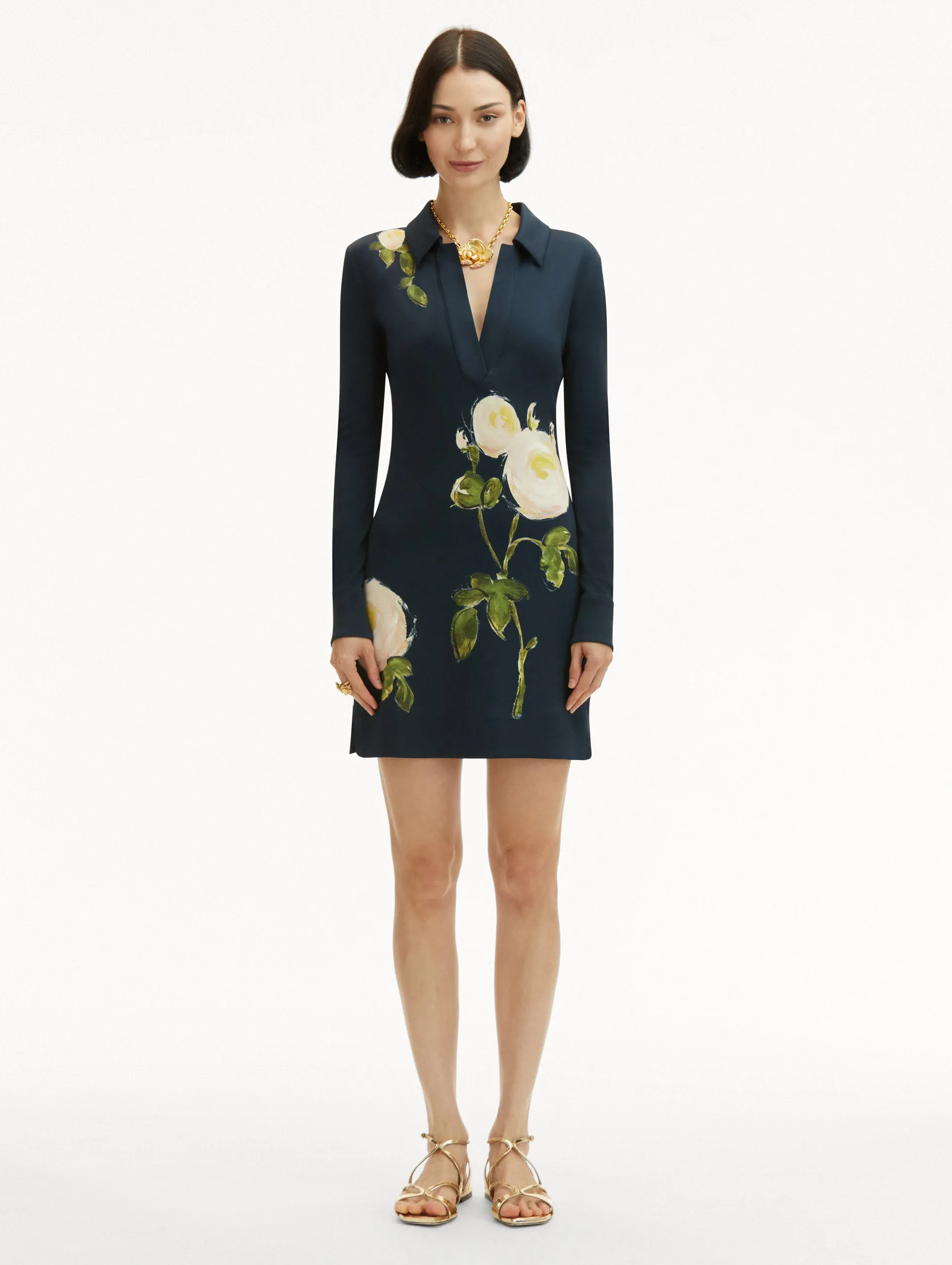 Painted Roses Jersey Mini Dress