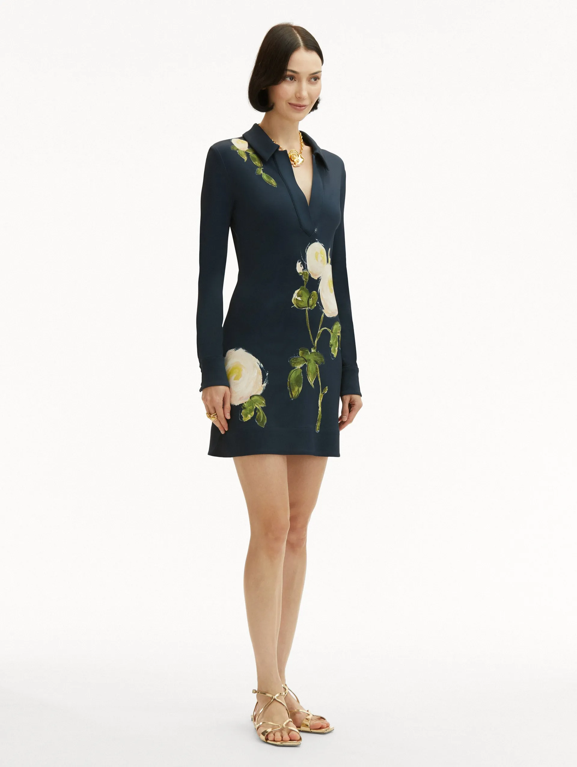 Painted Roses Jersey Mini Dress
